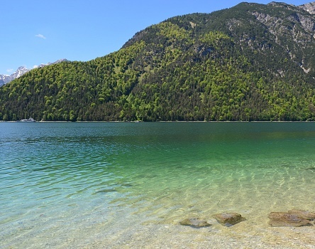 10_Achensee_Rennradstrecke_Wald