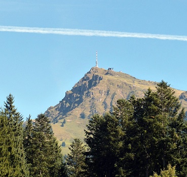 6_Kitzbuheler_Horn_Baeume_Rennradstrecke