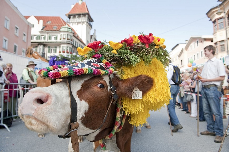 hd-alljaehrliches-traditionsfest-der-almabtrieb-kufstein