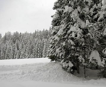 landschaft_winter
