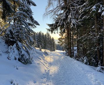 Wanderweg_Winter_Spitzstein(c)Alpenbaby (19)
