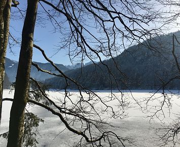 Winterwandern_Hechtsee_Kaisergebirge_Ast(c)Alpenbaby (11)
