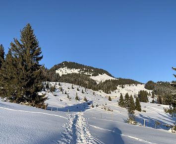 Winterwandern_Spuren_Spitzstein(c)Alpenbaby (18)